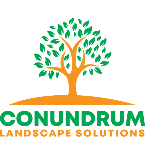 Conundrum Landscape Solutions